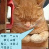 骑着蜗牛去打
