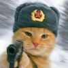 товарищ