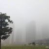 听雨_992