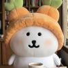 小卉我主人