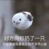 浮士德娃娃的头像-夏日小镇官网