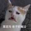 ↙划船不用桨