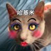 小喽啰的头像 - 极核GetShell