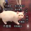 哦吼_821