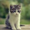 Hero_of_vill