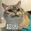 天空下起了雨