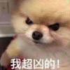 梦羽