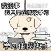 星落的头像 - 极核GetShell