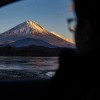 稻田里的守望者的头像-iPA资源站