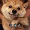 啤酒罐罐