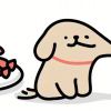 PEmpx的头像-【TITAIKE】T太科网