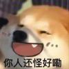 白橙灯的头像-魔酷网