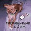内存不足的头像-七玩网