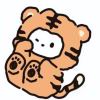 zy_248