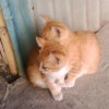ぐ幸福の沙漏