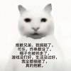 生鱼片是死鱼