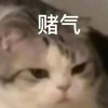 bytes-系语社区-折腾玩机聚集地