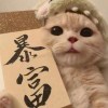 麻爪。