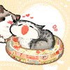 轩胖胖