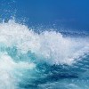 流流流云的头像-魔酷网