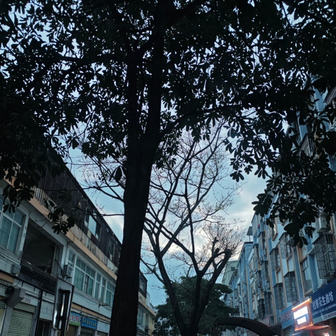 天天向上