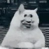 滑稽到底又如