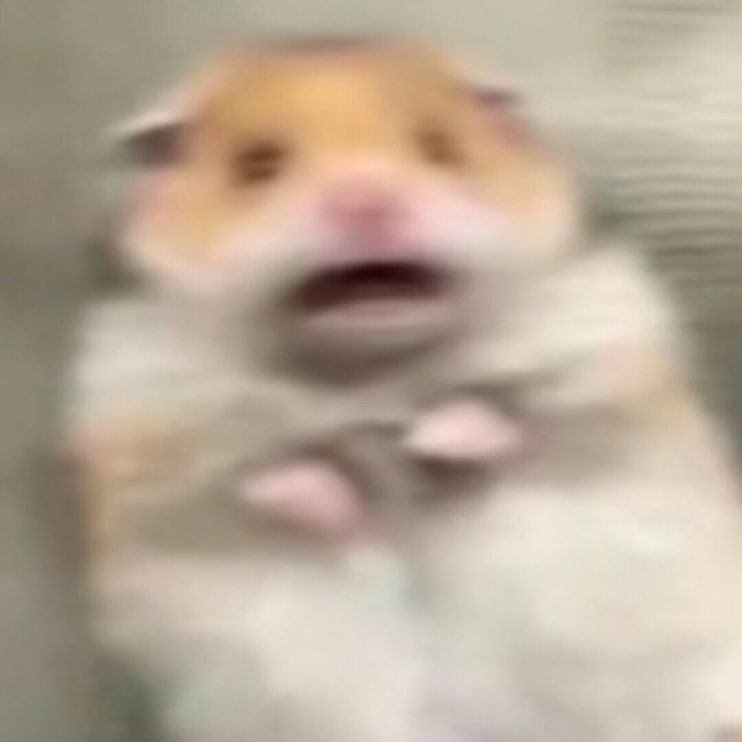 །–_–།←寄了