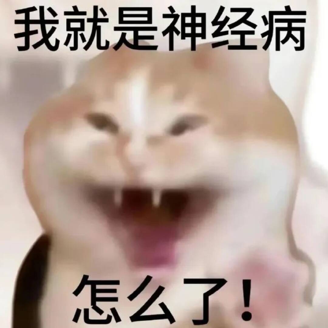 _446