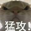 白粥V