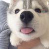 名字不在中二