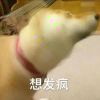 藏海花．的头像-七玩网