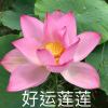 用户16884173的头像-长游分享网