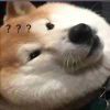 淦