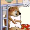 用户_7884