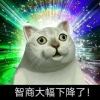如风似云的头像-黑狗绅士局
