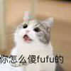 傻fufu的-琳琅资源社 - 全网资源免费共享论坛