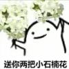 yisaya yisaya的头像-魔酷网