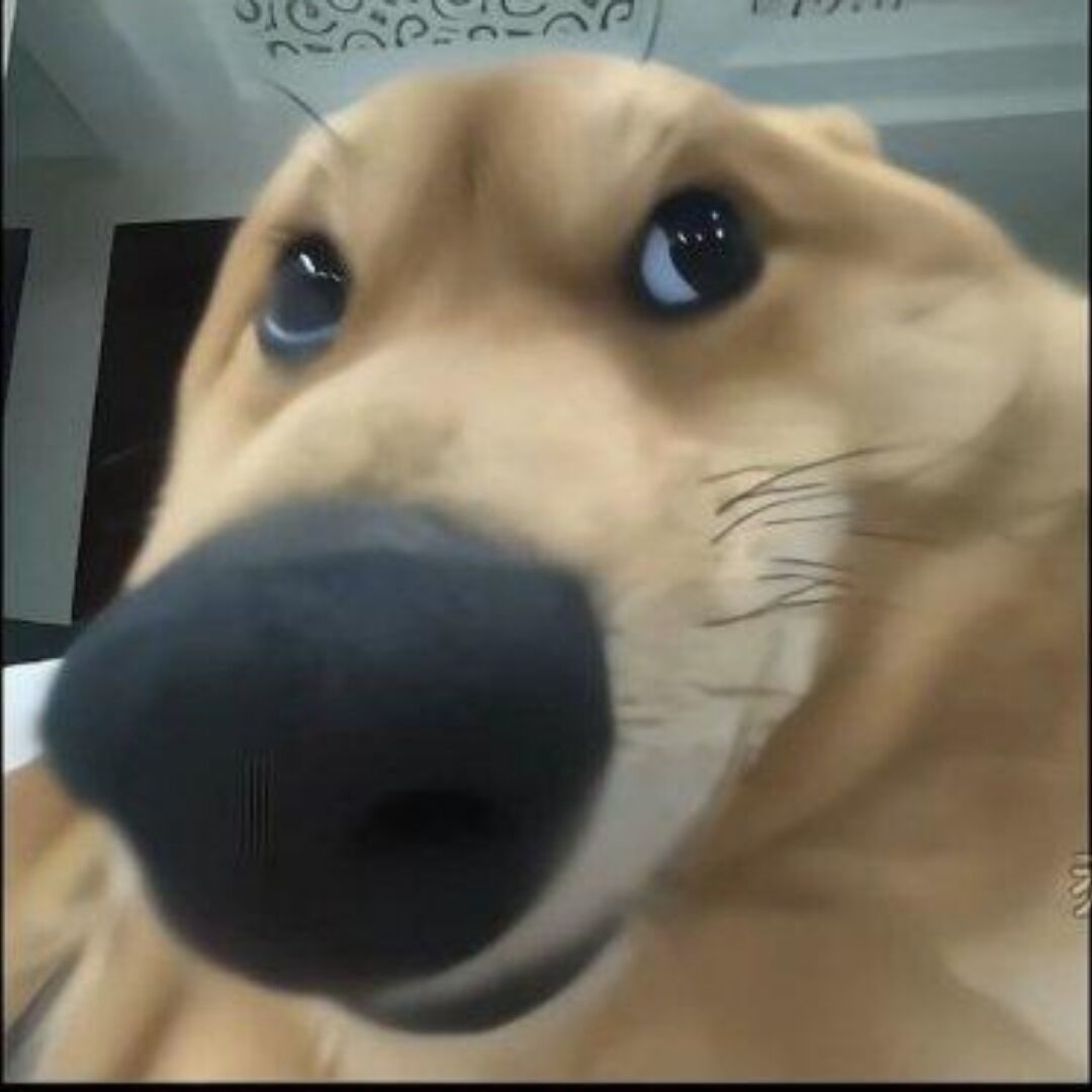 离谱_430