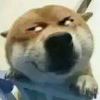 iiiii