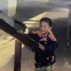 桥本李蛋