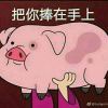 是你自己太坏