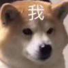 咸鱼_282