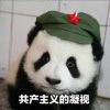偶然_864