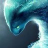 xyebs的头像-大海资源库