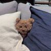 陈shi的头像-【TITAIKE】T太科网