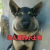 算了_503