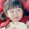 q2784018061的头像-菜鸟论坛