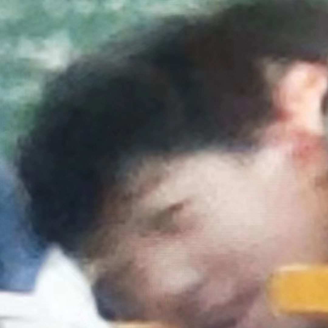 孙燕