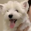 醉生梦死也不