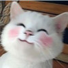*R^_^Y*的头像-iPA资源站
